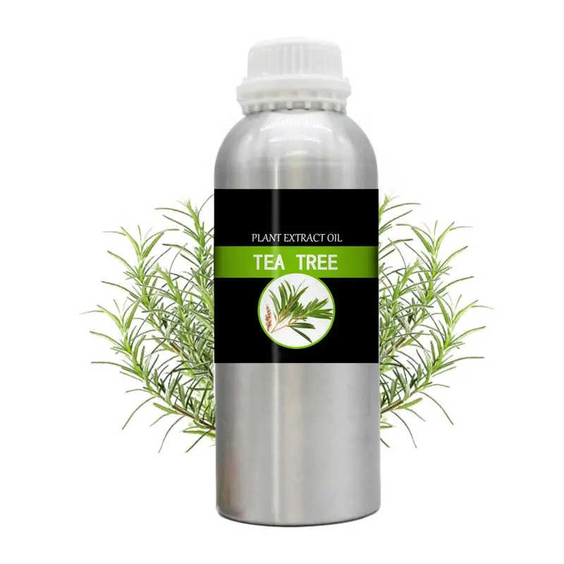 Fornitore naturale di olio Tea Tree Oil Bulk Tea Tree olio essenziale flacone contagocce in vetro trasparente