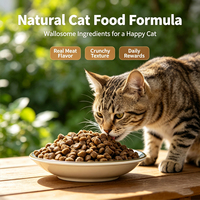 Croquettes pour chats de haute qualité, équilibrées et riches en protéines, avec des vitamines essentielles et un soutien digestif, nourriture sèche complète pour chats