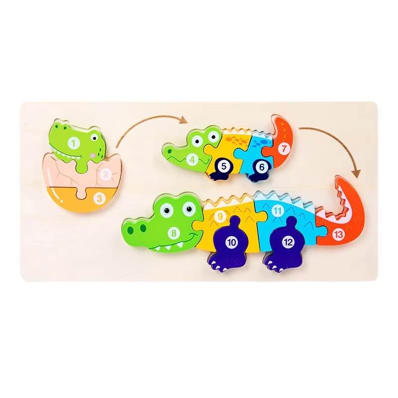 Puzzle tridimensionale sulla crescita del coccodrillo