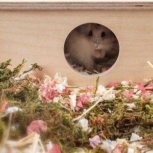 Nhà Cho Chuột Hamster Bằng Gỗ Với Cửa Sổ, Chinchilla Và Chuột Lang - Product Image 2