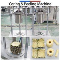 RVS fruitverwerkingsmachine voor het schillen, ontpitten en splitsen van ananas, cantaloupe en meloen