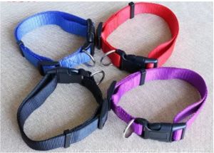 Lebendiges und langlebiges rotes Hunde halsband mit stabiler Kunststoffs chnalle und Metall-D-Ring für sichere und stilvolle Haustier kleidung - Product Image 6