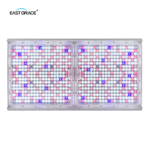 Lámpara de Cultivo LED Compacta Top1930E IP65 con Espectro UV IR de 800W 1200W, Reemplazo <span class=keywords><strong>1</strong></span>:<span class=keywords><strong>1</strong></span> de <span class=keywords><strong>HPS</strong></span> para Sistemas de Cultivo Vertical - Product Image 1