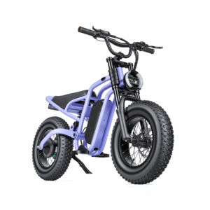 Powerful 36V 350W <strong>Kids</strong> <strong>Electric</strong> Dirt <strong>Bike</strong> with Dual Suspension 16 Inch Fat Tires Hydraulic Disc Brakes for Teens Adventure - Product Image 2