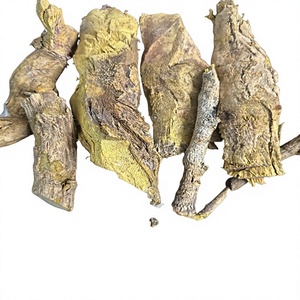 Raíz Seca de Berberis Aristata Premium, Raíz Herbal Natural de Berberis Aristata, Raíz Botánica Cortada de Berberis Aristata - Product Image 1