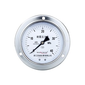 Custom-made axial-mounted M20*1.5 punched silicone oil shock-resistant pressure <b>gauge</b> YN100ZT - Product Image 4