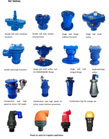 DN40-DN300 Vanne de ventilation automatique à bride universelle Double boule grand orifice Triple fonction pour l'eau ou l'irrigation