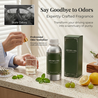 Huile aromatique pour voiture de 500 ml à base de plantes, parfum fruité et frais, parfum longue durée pour diffuseurs de voiture, d'hôtel et de bureau