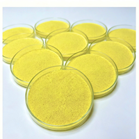 Bacillus Subtilis 100 milliards d'UFC/g – Additif alimentaire probiotique à efficacité longue durée, poudre fine uniforme favorisant une croissance saine