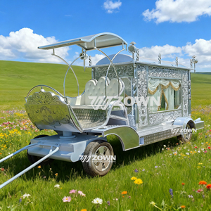 Carroza Fúnebre Elegante Personalizada a Precio de Fábrica, Último Modelo Americano con Escultura Plateada - Product Image 2