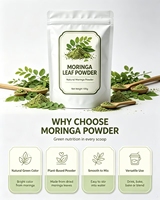 Bubuk Daun Moringa Alami Terlaris Label Pribadi OEM Kelas Makanan