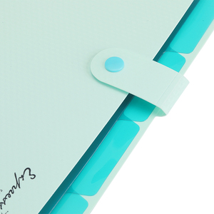 Dụng Cụ Sắp Xếp Hồ Sơ Dễ Thương Bằng Nhựa PP 5 Túi Màu Xanh Lá Cây Tiện Dụng Tập Tài Liệu Có Nhãn - Product Image 3