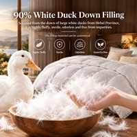 Couette en duvet de canard 90% extra épaisse et chaude pour l'hiver, sans pression, douce, silencieuse, taille King, vente en gros directe d'usine, OEM ODM