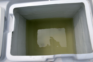 Grandsea قارب صيد 35ft/11m Panga قارب صيد يخت سفينة صيد - Product Image 6