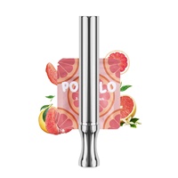 Bâtonnet Inhalateur d'Aromathérapie Parfum Pomelo en Acier Inoxydable Portable Inhalateur Nasal Stimulant l'Humeur Sans Nicotine Vente en Gros OEM