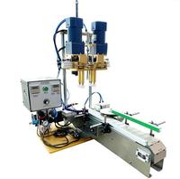 Machine de capsulage de bouteilles de bec de canard entièrement automatique avec bande transporteuse Capsuleuse de capsulage de bouteilles d'huile essentielle Pneumatique