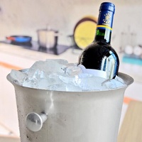 RTS Seau à glace de haute qualité 5L à double oreille Design classique Refroidisseur de vin et de champagne en métal Vente directe d'usine pour fête
