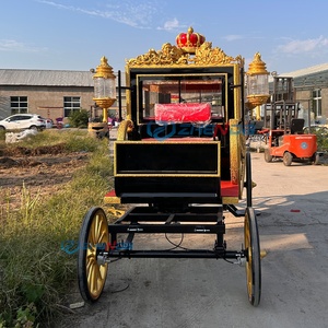 Calèche royale de luxe, plusieurs couleurs, calèche électrique, calèche tirée par des chevaux, fabriquée en Chine - Product Image 5