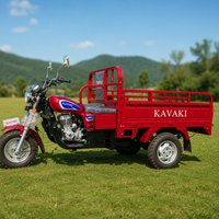 Motocyclette à 3 roues, moteur 200CC refroidi par air, tricycle motorisé, trike à essence, moto cargo