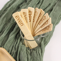 Fabricant de bâtons de crème glacée popsicle en bambou biodégradable naturel pour la crème glacée