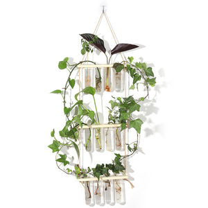 Hydroponic Plant Wall Rack Bamboo Test Tube Vases Hanging Greenery Decor For Home Office Indoor Garden - Product Image 1