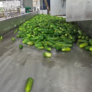 Đóng hộp dưa chuột tươi đóng hộp trộn rau Muối bé dưa chuột chọn dòng sản phẩm dưa chuột - Product Image 6