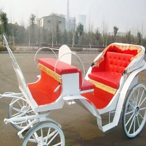 Carrozza Vittoriana Reale per Matrimoni ed Eventi Speciali - Carrozza Pieghevole a Tettuccio, Trainata da Cavalli ed Elettrica - Product Image 2
