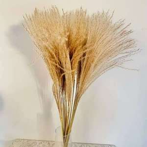Petites herbes de la pampa colorées séchées, plantes décoratives moelleuses, fleurs séchées en gros, personnalisation sur mesure pour la décoration intérieure et les événements - Product Image 5