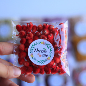 Confezione personalizzata 10 g/borsa di <span class=keywords><strong>coriandoli</strong></span> <span class=keywords><strong>biodegradabili</strong></span> Mix di Confetti a petali secchi naturali per matrimonio lavanda gelsomino petali di rosa - Product Image 6