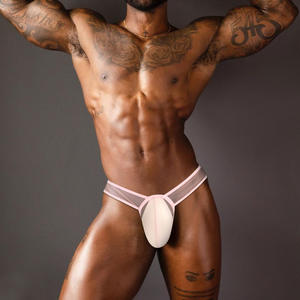 2024 Hot Sales Sexy ADANNU Ice Silk Summer <strong>Clear</strong> Gay Boy Personality Man's Breathable Elastic Transparent Nylon <strong>Brief</strong> Underwear - Product Image 1