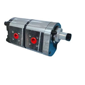 14273007 -s Repuestos Bomba de Engranajes Nueva - Product Image 1