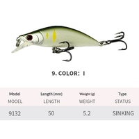 Leurres nageurs imprimés 50mm 5.2g en plastique avec hameçons, lot de 2 pour la pêche au bar, saumon, maquereau et poissons d'eau salée