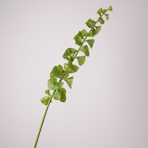 Pianta Artificiale Verde Real Touch da 92 cm, Campanelle d'Irlanda, per Composizioni Floreali - Decorazioni per la Festa della Mamma e la <span class=keywords><strong>Laurea</strong></span> - Product Image 1