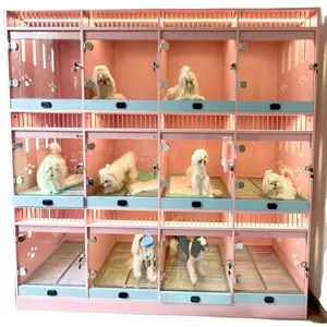 Customized Small Pet Vet Cabinet Colorful New Design Dog Hotel Puppy Kennel Wood Glass Stacking Boarding Cage Animal Pattern
