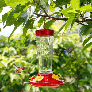 Comedero para Colibríes de Acrílico Rubí para la Salud de las Aves, Comedero de Vidrio para Exteriores con 4 Estaciones de Alimentación y Capacidad para 10 Onzas - Product Image 4