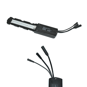 Consegna Rapida: Kit Bici Elettrica con Controller Integrato, Cerchi da 26 Pollici, Motore Hub 36V 250W e Vano Batteria - Modello India - Product Image 3