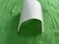 Sac filtrant en tissu pour presse à huile hydraulique, maille en nylon de 0 à 100 microns pour la filtration de l'huile comestible et de l'huile de coco
