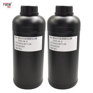 Gladde Inkt Output En Helder Afdrukken Groothandel Textuur Schilderij UV-Inkt Voor Ricoh G5i Voor Textuur Schilderen