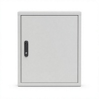 Boîtier d'instrumentation mural IP65 en acier, armoire de commande 200x250x120mm, boîte métallique thermolaquée pour compteurs et IHM