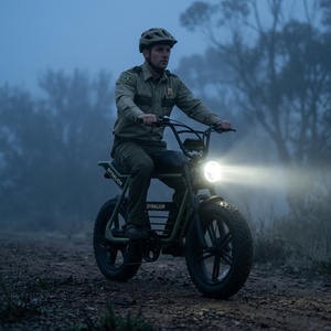 Bicicleta Safari de Color Verde Personalizado, Silenciosa, <span class=keywords><strong>con</strong></span> Motor Trasero sin Escobillas, Bicicleta Eléctrica para Observación de la Vida Silvestre - Product Image 5