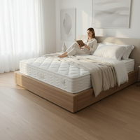 Matelas Jiabaijia à surmatelas en mousse haute résilience, certifié, logo personnalisé, économique, approvisionnement en gros volume