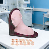 Simulador de Inspección de Oído de PVC Avanzado DARHMMY, Modelo de Audiología para Ciencias Médicas y Entrenamiento Escolar