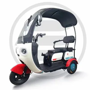 Electric City Tricycle Small Tricycle with Sunshade Lead acid battery powered vehicles