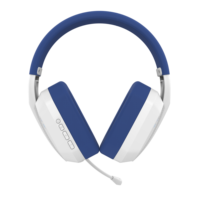 Casque de jeu RGB filaire/sans fil 2,4 G super léger avec micro détachable et bandeau textile pour PS2, PS4, PS5, Xbox One, Macbook – Idéal pour le sport