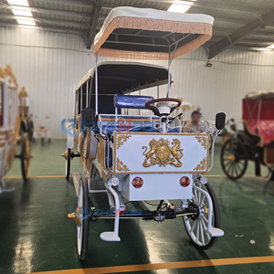 Calèche de Mariage Personnalisée pour Visites Touristiques – Véhicule de Transport Spécial à Prix Abordable avec Sièges Bleus - Product Image 3
