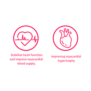 Compléments nutritionnels à base de <span class=keywords><strong>coenzyme</strong></span> <span class=keywords><strong>Q10</strong></span> sous forme de friandises molles pour chats et chiens - Sans céréales - Santé cardiaque et soutien du myocarde - Product Image 2