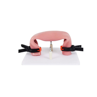 Modèle de formation d'anastomose intestinale KyrenMed avec clip de support de modèle de suture pour la pratique des sciences médicales de la chirurgie laparoscopique