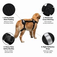 PETSGUARD Orthèse de hanche vétérinaire pour chien en maille respirante de polyester, harnais de soutien de hanche réglable, soulage l'arthrite, simple et robuste