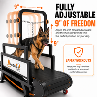 Tapis roulant pour animaux de compagnie sans moteur, sans électricité, prêt à être expédié depuis les États-Unis, pour chiens de petite à grande taille, vente en gros