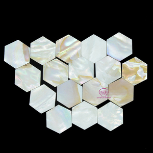 Concha de mar Natural, fondo barato de Hotel, agua dulce, madre de perla, mosaico de artesanía, Material crudo aplastado - Product Image 1